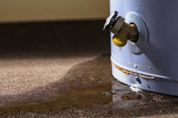 Best 24/7 water damage repair  in Blue Ash, OH