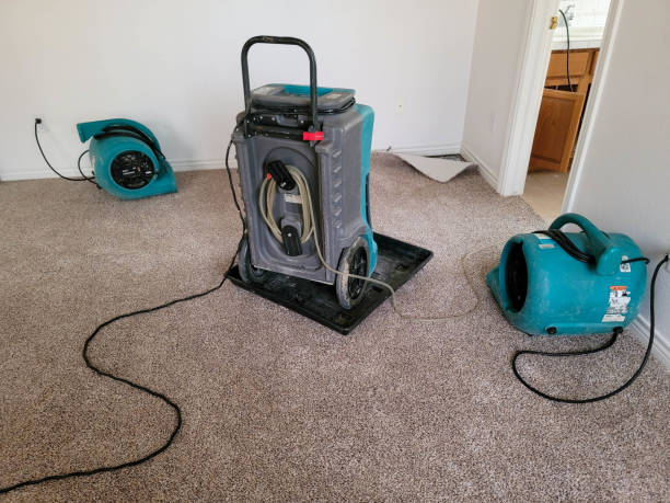 Best 24-hour water damage restoration  in Blue Ash, OH