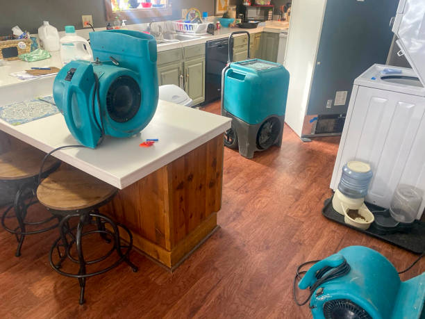 Best Ceiling water damage repair  in Blue Ash, OH