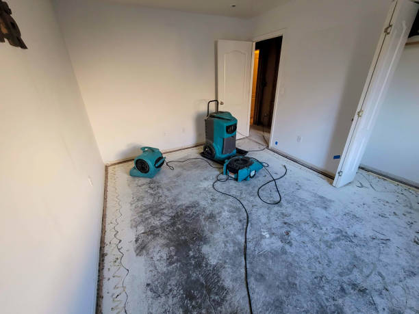 Best Emergency water damage restoration  in Blue Ash, OH