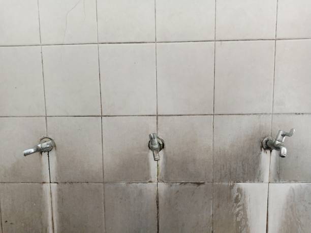 Best Water damage contractors near me  in Blue Ash, OH