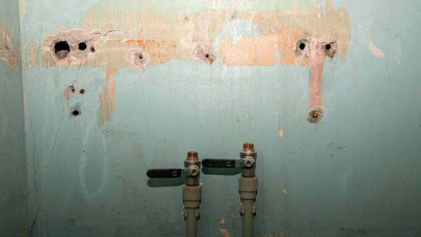 Best 24-hour water damage restoration  in Blue Ash, OH