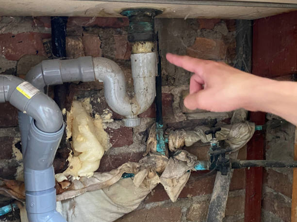 Best Carpet water damage restoration  in Blue Ash, OH